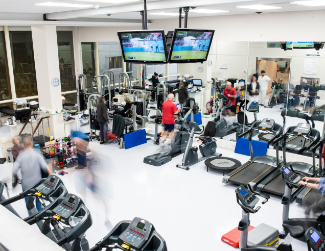 Área de terapia física y rehabilitación del IADT con equipamiento para recuperación funcional y entrenamiento físico